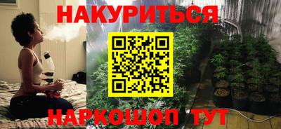 крисы Абакан