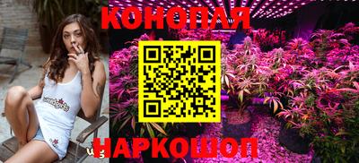 крисы Абакан