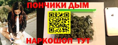 крисы Абакан