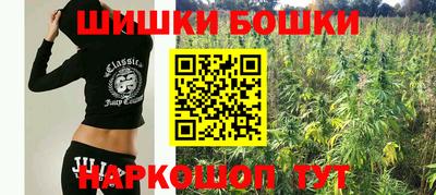крисы Абакан