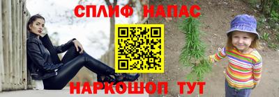 крисы Абакан