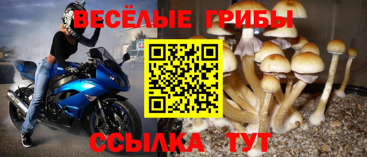 Псилоцибиновые грибы прущие грибы Азнакаево