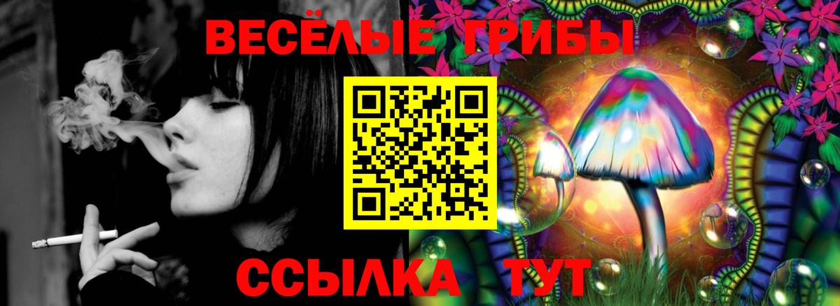 Азнакаево  Галлюциногенные грибы MAGIC MUSHROOMS  Вход с VPN 